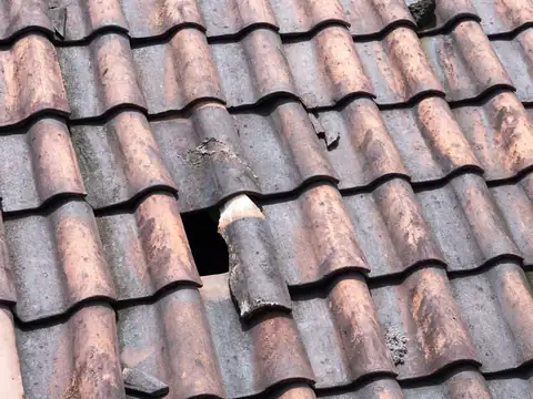 A broken S-shaped roof tile with a hole beside it, among weathered tiles that are still whole