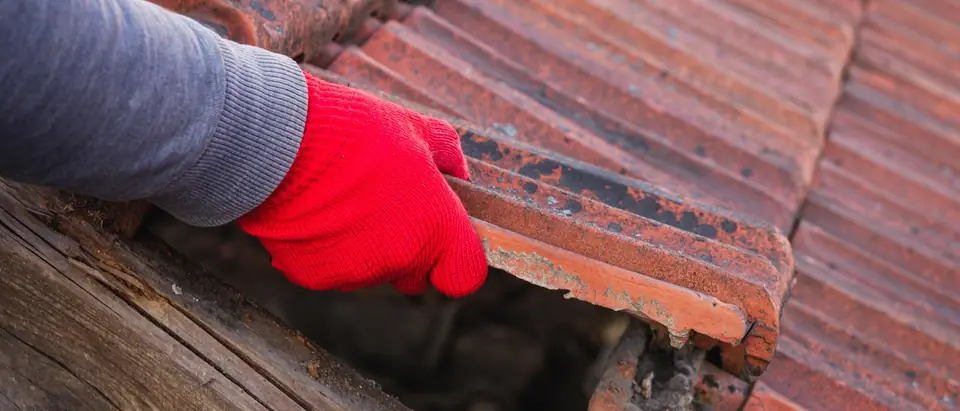 A hand in a red work glove lifting a broken clay roof tile, with weathered wood showing in the gap beneath it