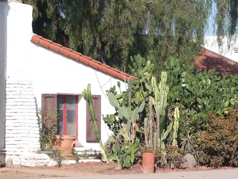 A white house with a clay barrel tile roof behind a garden of prickly pear and columnar cactus